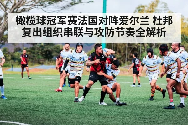 橄榄球冠军赛法国对阵爱尔兰 杜邦复出组织串联与攻防节奏全解析